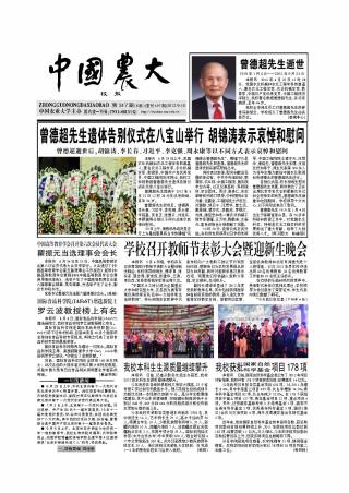 第317期