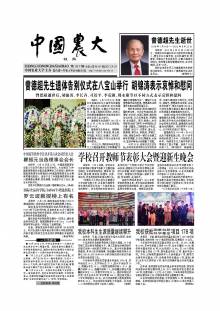 第317期