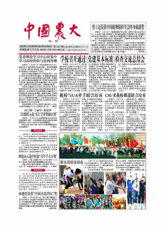 第320期