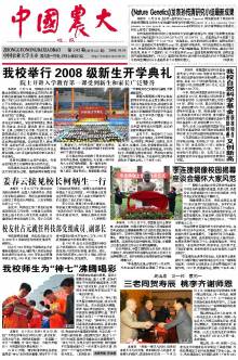 第243期