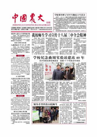 第339期