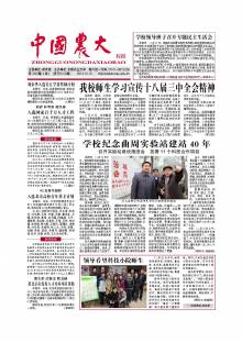 第339期
