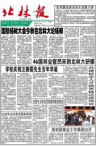 第369期