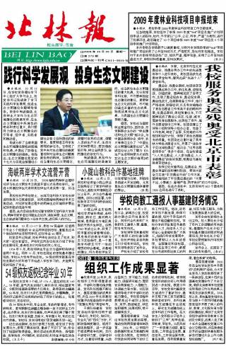 第379期
