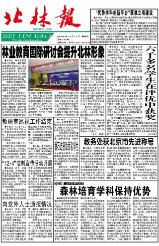第384期