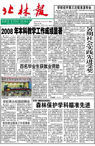 第385期