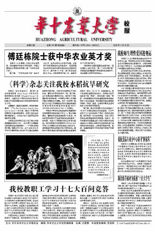 第399期