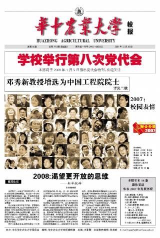 第393期