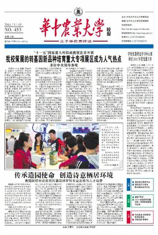 第453期