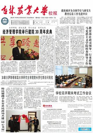 第426期