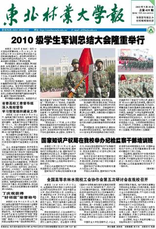第431期