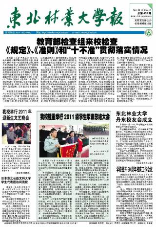 第453期