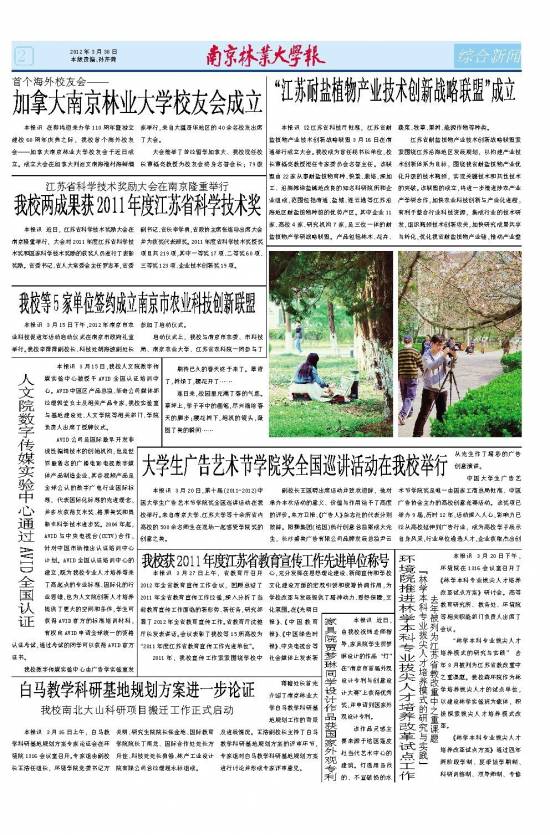 第541期