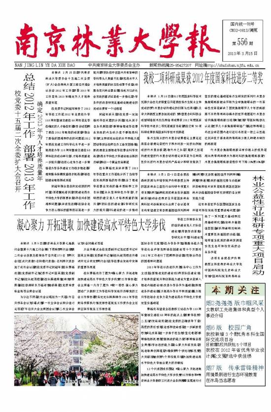 第556期