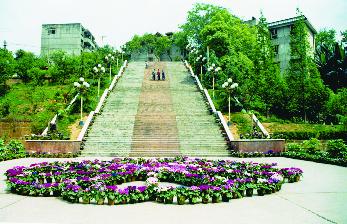 乐山师范学院：扎根教育40年勇立潮头敢争先—