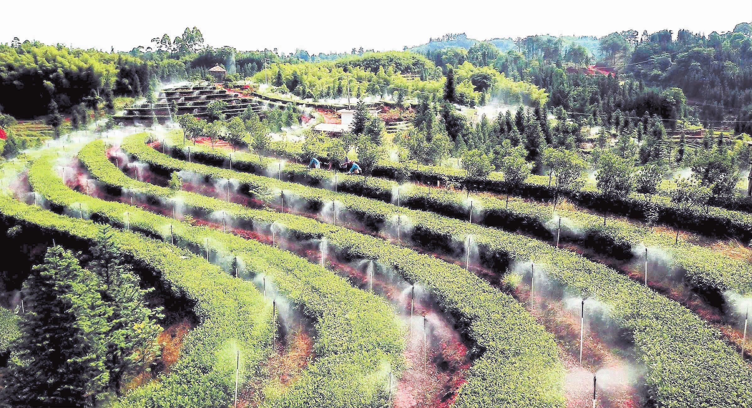 科技助力乡村振兴