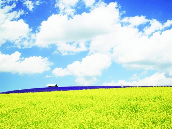 我们与自然彼此依赖