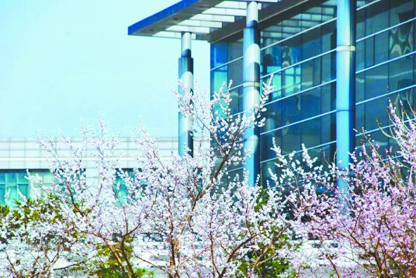 我校举办配乐诗朗诵大赛