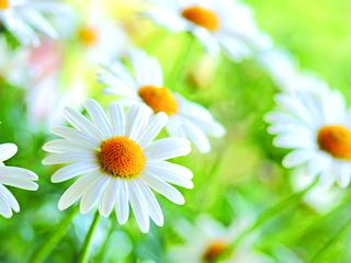 夏至未至怡然交院