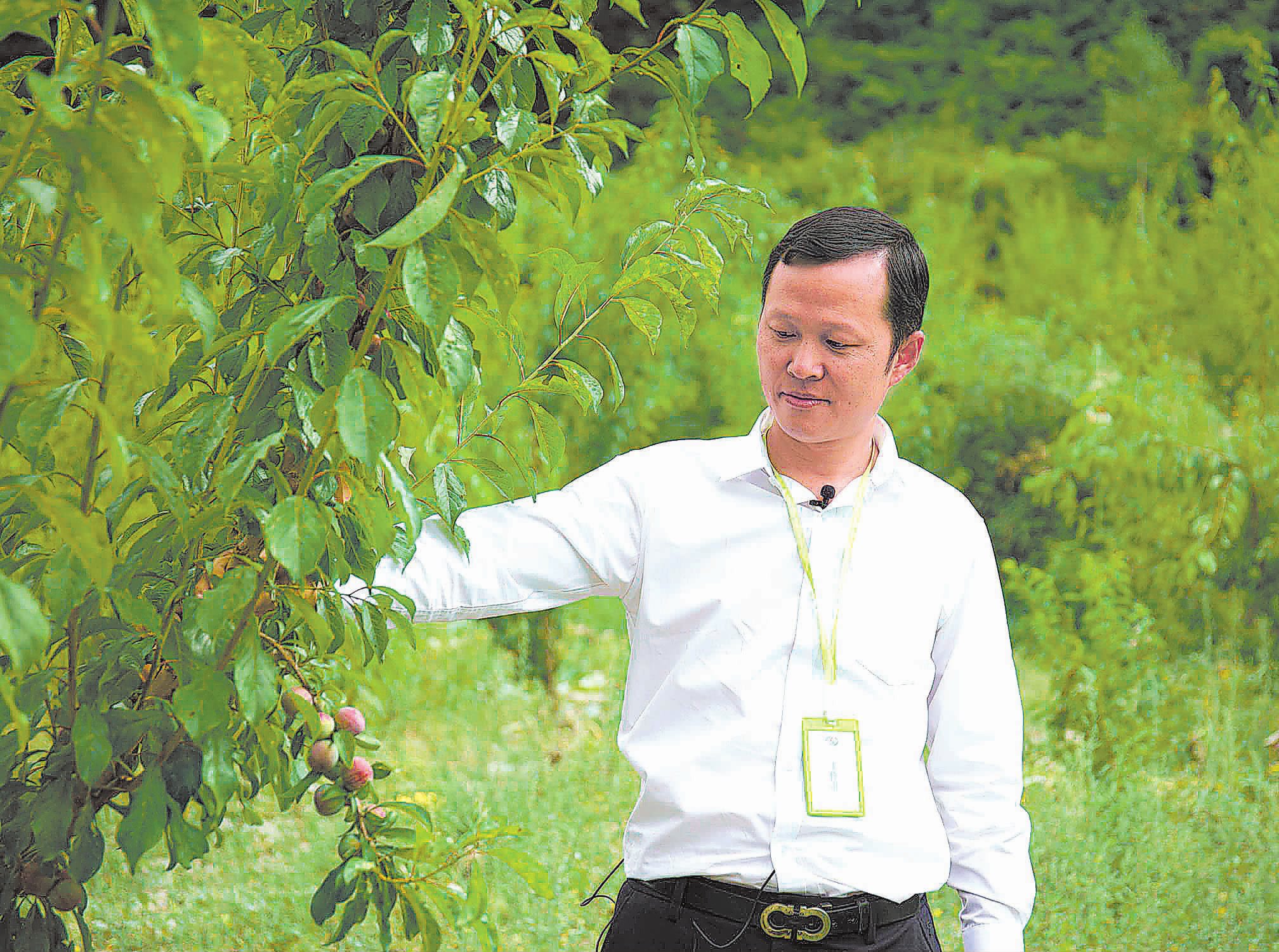 让藏区农业强大起来