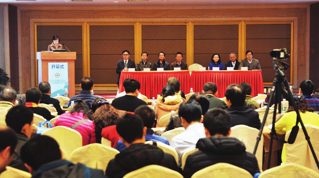 2015北京地区精神医学学术年会暨首届京津冀