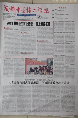 第504期