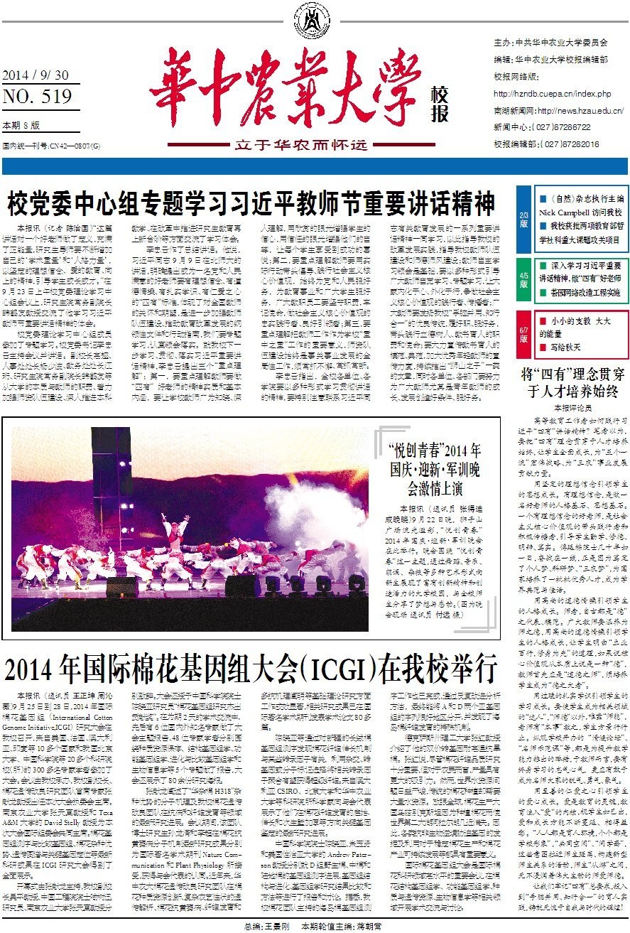 第519期