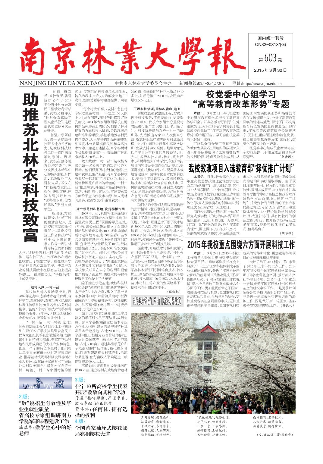 第603期