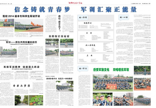 第523期