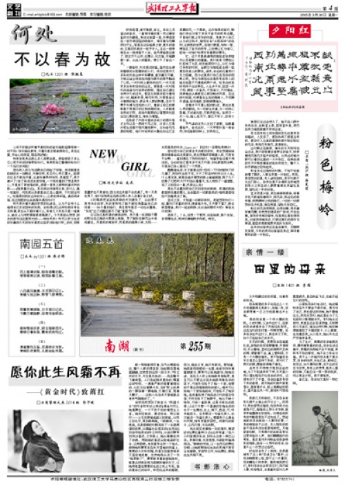 第394期