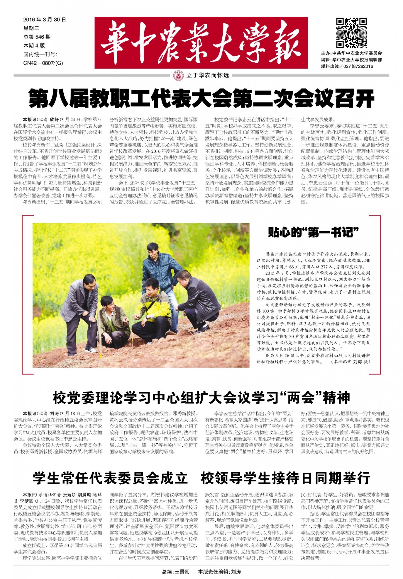 第546期